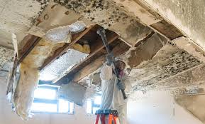 Best Emergency Mold Remediation  in Fairfax Station, VA